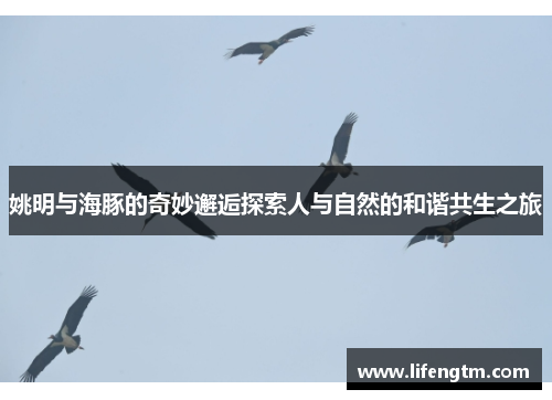姚明与海豚的奇妙邂逅探索人与自然的和谐共生之旅
