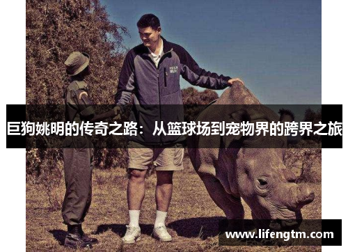 巨狗姚明的传奇之路：从篮球场到宠物界的跨界之旅
