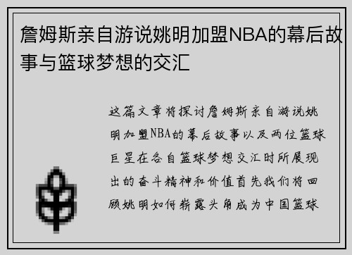 詹姆斯亲自游说姚明加盟NBA的幕后故事与篮球梦想的交汇